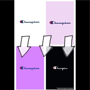 Champion section
